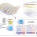 Interpenetrating Polymer (IPN)-based Stretchable Substrate and Integrated Electronics System