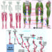 Overview of the data collection and the ACL model