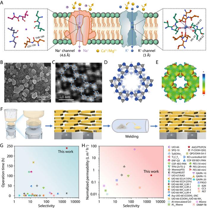 New carbon nitride membrane revolutionizes lithium extraction from salt lakes