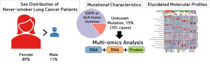 Overview of Genomic and Proteomic Analysis in Never-Smoking Lung Cancer Patients