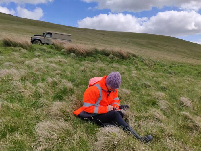 Researcher Cicely Marshall surveying farm land