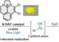 Multielectron reduction of esters photocatalyzed by N-BAP