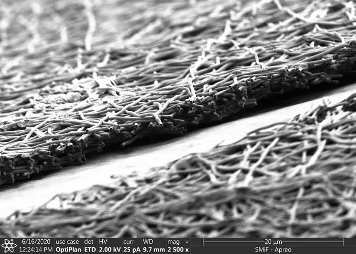 Membrane Cross Section