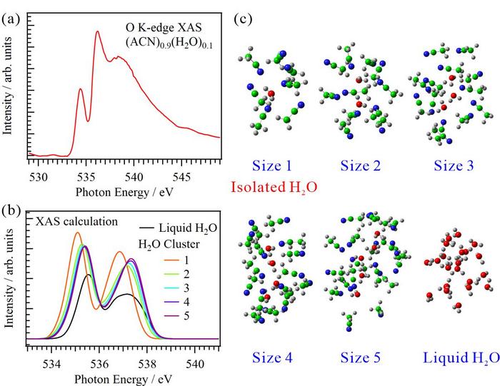 Soft X-ray absorption spectroscopy analysis of isolated water molecules within aqueous acetonitrile solutions