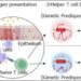 The G900 region induces in vivo Th2 cell differentiation through the optimization of chromatin structure.