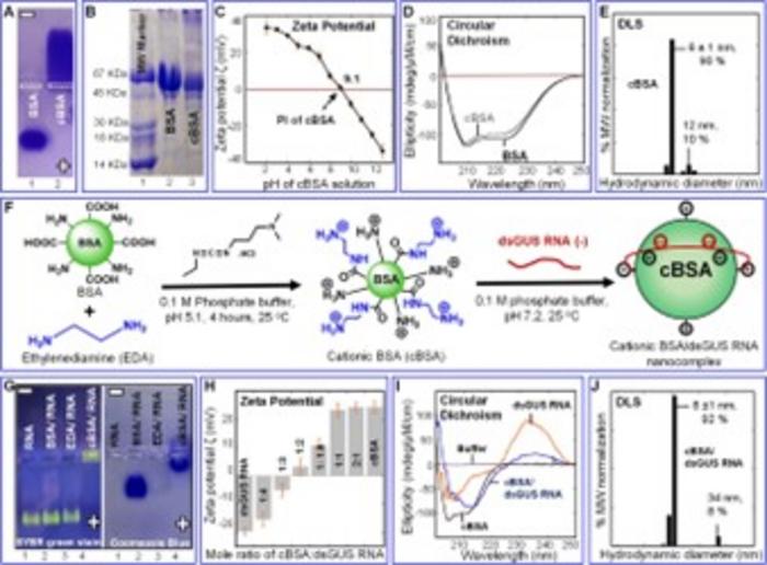 Transforming agriculture: engineered nanoparticles for plant gene regulation