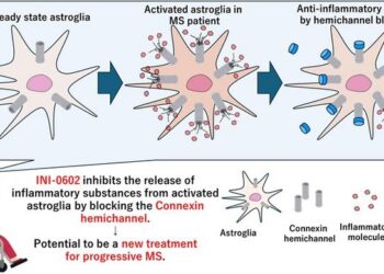 Researchers from Japan identify a new therapeutic target for chronic multiple sclerosis (MS)