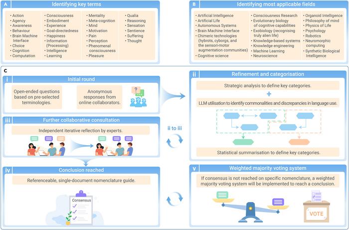 Figure 1Initial key terms, most applicable fields, and core approach toward consensus