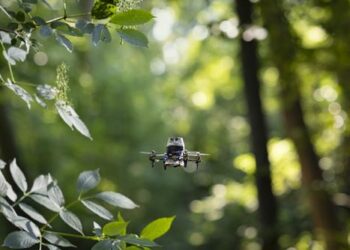 Tiny drone in a forest