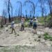 Visit to Camp Fire site post wildfire