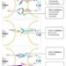 Mechanisms of immune checkpoint inhibitors for treating hepatocellular carcinoma