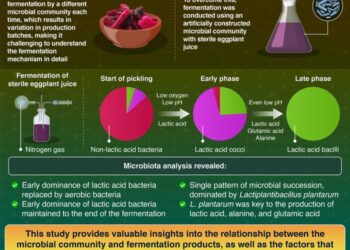 Relationship Between Microbiota and Metabolites Produced During Eggplant Fermentation