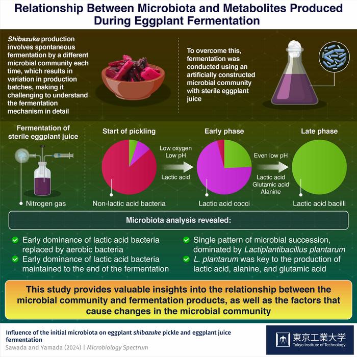 Relationship Between Microbiota and Metabolites Produced During Eggplant Fermentation