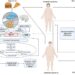 On the one hand, a high-calorie diet is associated with structural and functional changes in brain structures, particularly in the hypothalamus