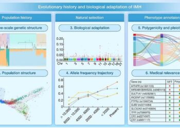 Evolutionary history and biological adaptation of Han Chinese people on the Mongolian Plateau