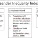 Unveiling gender inequality in the US: Testing validity of a state-level measure of gender inequality and its relationship with feminist online collective action on Twitter