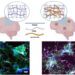 Insights into Alzheimer's Disease Mechanisms Through Novel Hydrogel Matrix