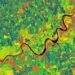 The Landscape of Mississippi Delta Region from LiDAR derived Canopy Height Model