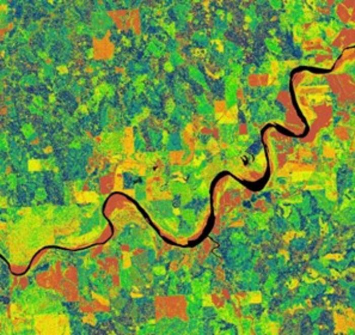 The Landscape of Mississippi Delta Region from LiDAR derived Canopy Height Model