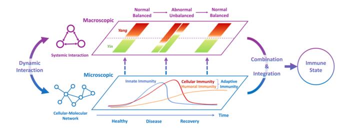 Immune states: Integrated Views of Immunity by Combining Traditional Chinese Medicine and Modern Medicine