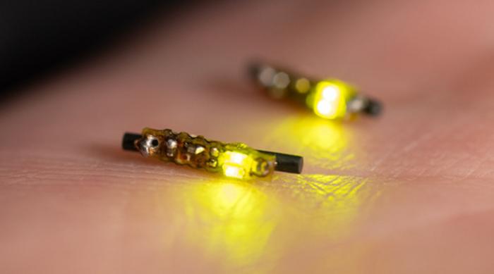 Implantable LED device for fighting cancer