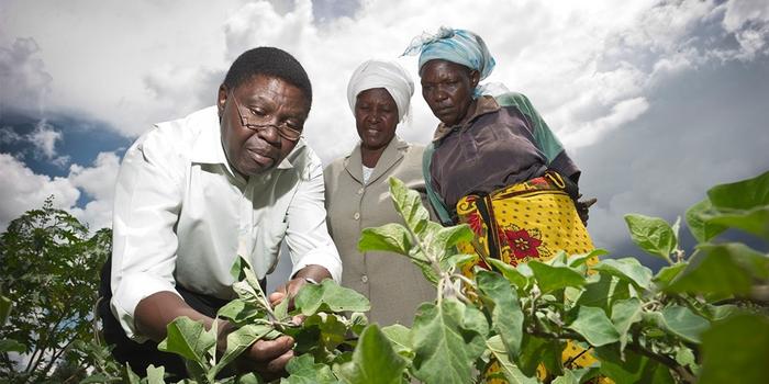 Most climate-vulnerable countries with highest hunger rates significantly under-represented in agrifood research