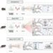 Microglial-derived C1q integrates into neuronal ribonucleoprotein complexes and impacts protein homeostasis in the aging brain.