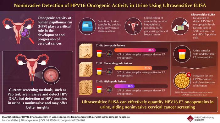 Detection of HPV16 E7 oncoproteins in urine samples using ultrasensitive enzyme-linked immunosorbent assay