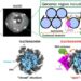 DDM1 protein opening the nucleosome