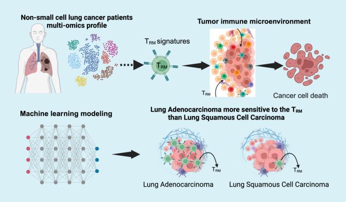 Key Immune Cells as Critical Factors in Lung Cancer Prognosis