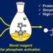 Improved coupling reaction enhances ADP/ATP-containing biomolecule yield