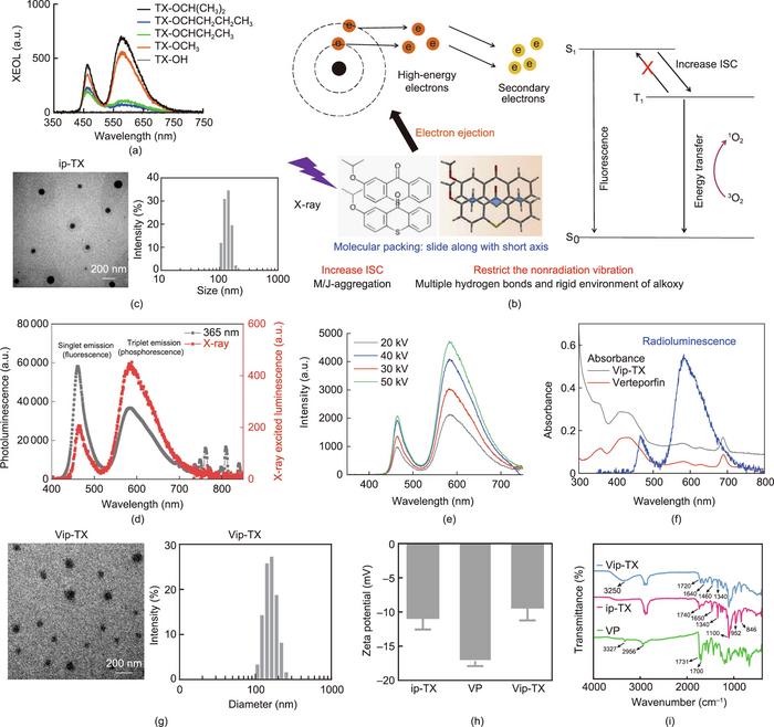 Characterization and photophysical properties of XS nanoparticles.