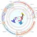 Biogeographic history and global dispersal routes of the grape family