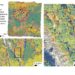 Scientists use machine learning to predict diversity of tree species in forests