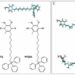 Study Identifies Highly Soluble Molecules with Superior Antioxidant Benefits for Cells