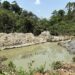 Illegal gold mine in southern Ghana