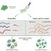 Treatment with a mixture of antimicrobial peptides can impede antibiotic resistance