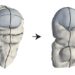 3D surface of the fruit fly wing disc