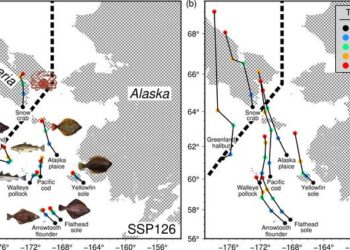 Trajectories of the abundance-weighted center of gravity (COG) for eight commercial species