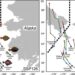 Trajectories of the abundance-weighted center of gravity (COG) for eight commercial species