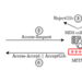 Blast-RADIUS attack flow.