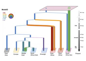 Demographic model of North African populations obtained with the GP4PG algorithm