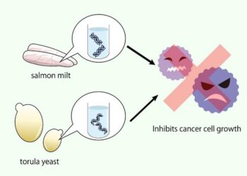 More benefits of nucleic acids from food