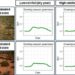 Comparison of dryland ecological states.