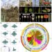 De novo genome assembly of Prunus pseudocerasus.