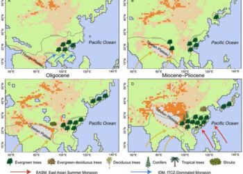 Heterogeneous occurrence of EBLFs in East Asia during the Cenozoic