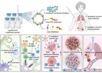 Novel Nanovaccine Enhances Cancer Treatment by Targeting Intratumoral Bacteria