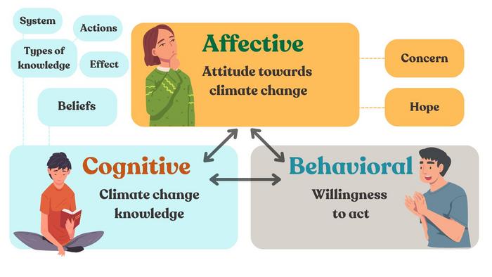 Conceptual framework for the survey.