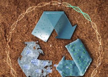 Living plastics: a new solution for plastic degradation through synthetic biology