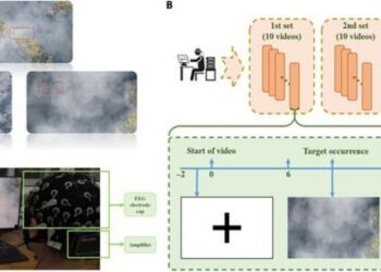 The experimental paradigm and setup.